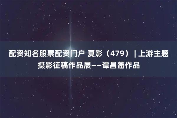 配资知名股票配资门户 夏影（479） | 上游主题摄影征稿作品展——谭昌藩作品