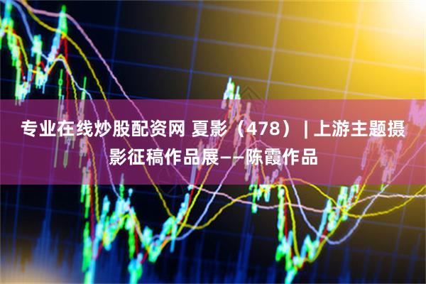 专业在线炒股配资网 夏影（478） | 上游主题摄影征稿作品展——陈霞作品