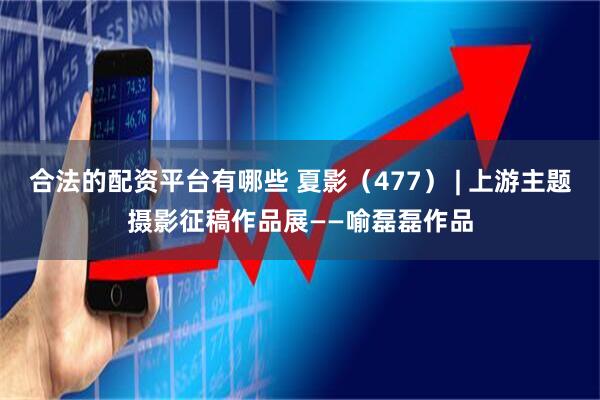 合法的配资平台有哪些 夏影（477） | 上游主题摄影征稿作品展——喻磊磊作品