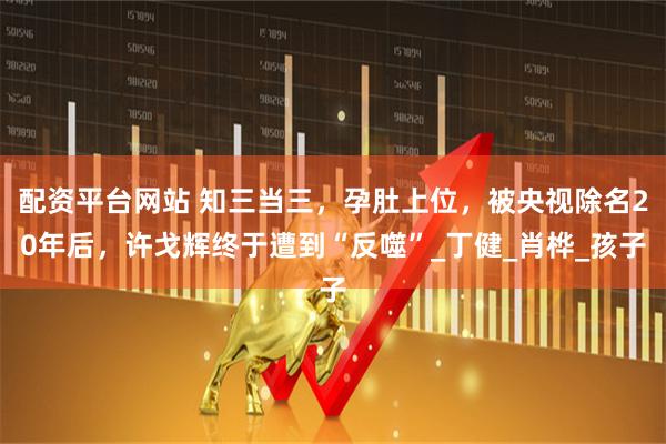 配资平台网站 知三当三，孕肚上位，被央视除名20年后，许戈辉终于遭到“反噬”_丁健_肖桦_孩子